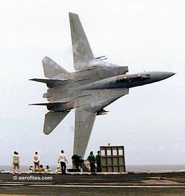 Snort's F-14 Fly-By